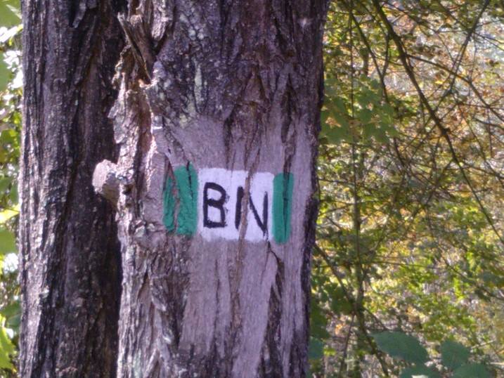 bn