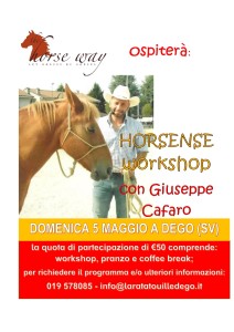 workshop horsense cafaro1